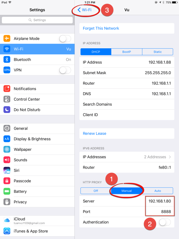 ipad-network-2-proxy-config